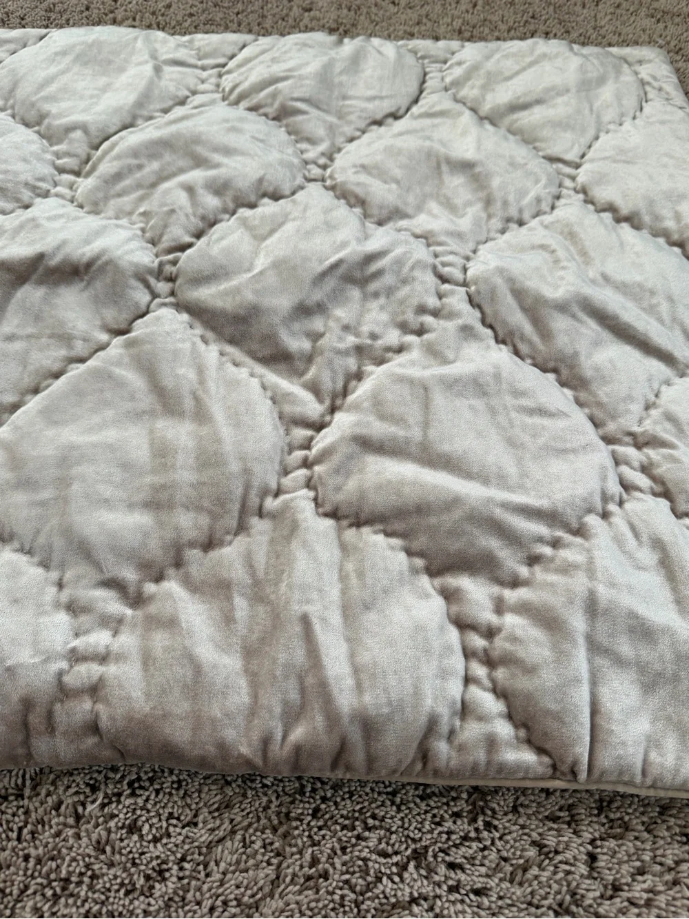 New anthropologie Claire cotton velvet satin euro sham champagne beige 26 x 26